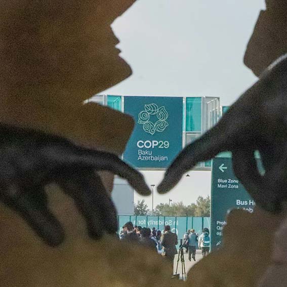 COP29 Highlights