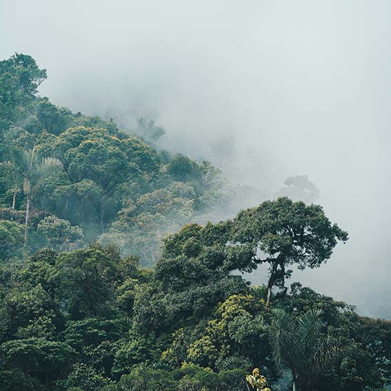 Climate Finance News